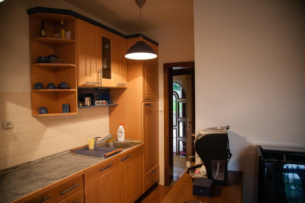 Exclusive House Legacy Villa Smederevo Luaran gambar